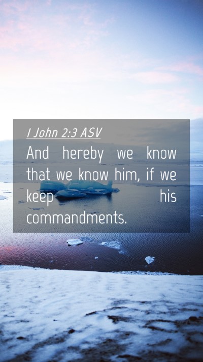 Picture 04 - 1 John 2:3 ASV Mobile Phone Wallpaper - And hereby we know that we know him, if we keep - Mobile Bible Verse Wallpaper