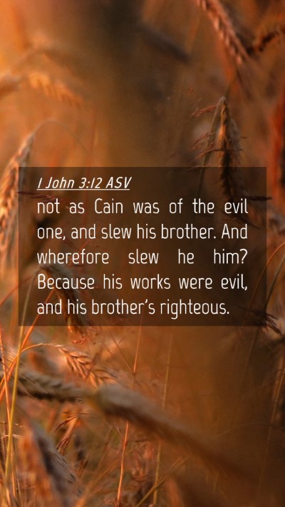 Picture 04 - 1 John 3:12 ASV Mobile Phone Wallpaper - not as Cain was of the evil one, and slew his - Mobile Bible Verse Wallpaper