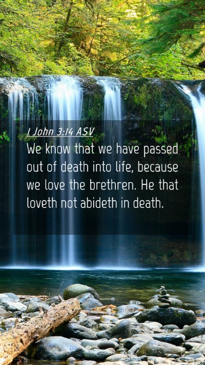 Picture 04 - 1 John 3:14 ASV Mobile Phone Wallpaper - We know that we have passed out of death into - Mobile Bible Verse Wallpaper
