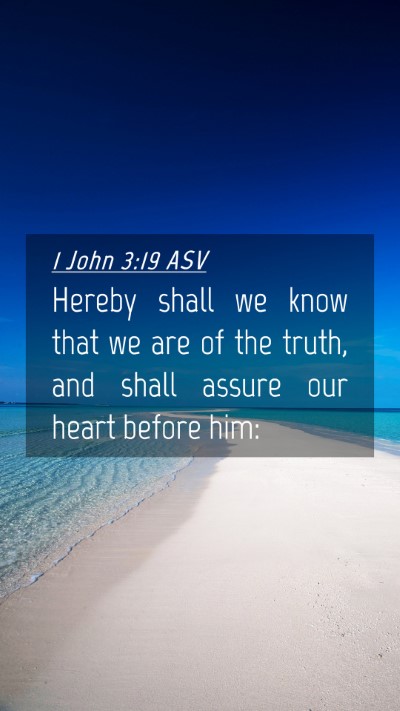 Picture 04 - 1 John 3:19 ASV Mobile Phone Wallpaper - Hereby shall we know that we are of the truth, - Mobile Bible Verse Wallpaper