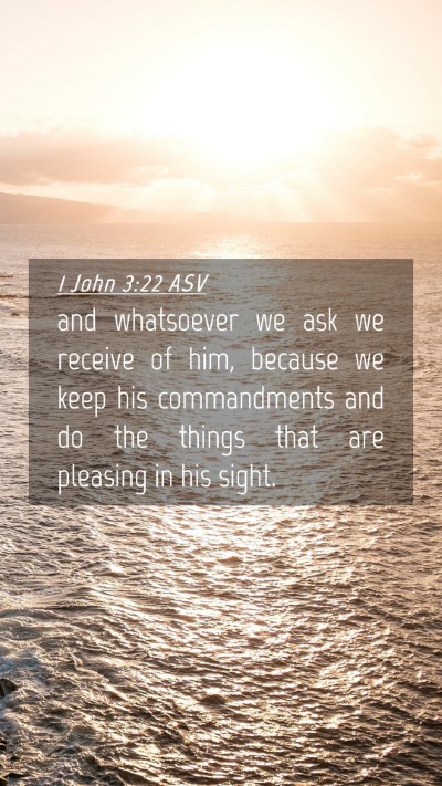 Picture 04 - 1 John 3:22 ASV Mobile Phone Wallpaper - and whatsoever we ask we receive of him, because - Mobile Bible Verse Wallpaper