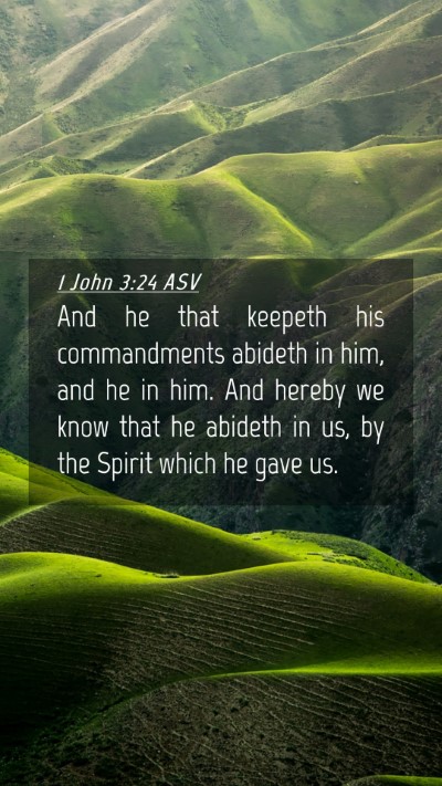Picture 04 - 1 John 3:24 ASV Mobile Phone Wallpaper - And he that keepeth his commandments abideth in - Mobile Bible Verse Wallpaper