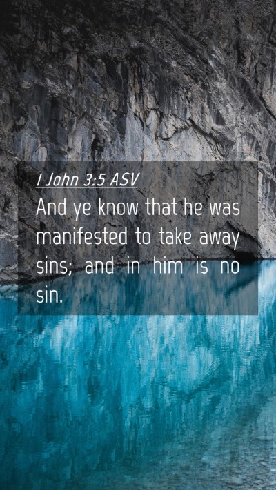 Picture 04 - 1 John 3:5 ASV Mobile Phone Wallpaper - And ye know that he was manifested to take away - Mobile Bible Verse Wallpaper