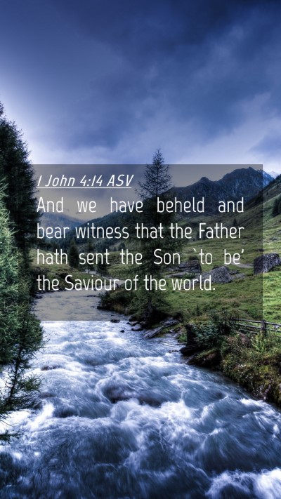 Picture 04 - 1 John 4:14 ASV Mobile Phone Wallpaper - And we have beheld and bear witness that the - Mobile Bible Verse Wallpaper