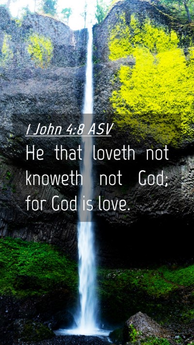 Picture 04 - 1 John 4:8 ASV Mobile Phone Wallpaper - He that loveth not knoweth not God; for God is - Mobile Bible Verse Wallpaper