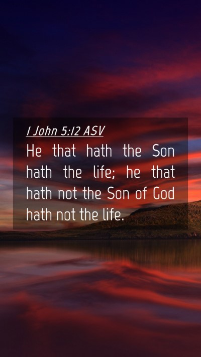 Picture 04 - 1 John 5:12 ASV Mobile Phone Wallpaper - He that hath the Son hath the life; he that hath - Mobile Bible Verse Wallpaper