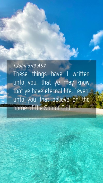 Picture 04 - 1 John 5:13 ASV Mobile Phone Wallpaper - These things have I written unto you, that ye may - Mobile Bible Verse Wallpaper