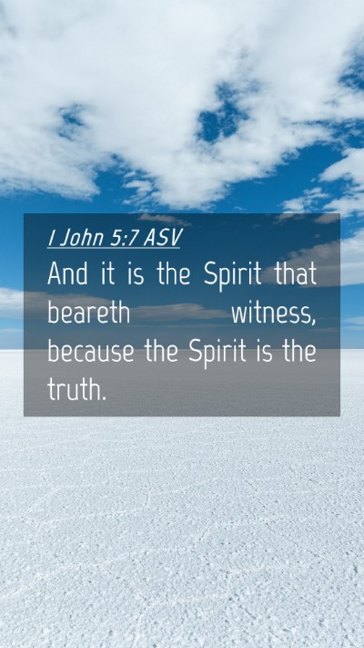 Picture 04 - 1 John 5:7 ASV Mobile Phone Wallpaper - And it is the Spirit that beareth witness, - Mobile Bible Verse Wallpaper