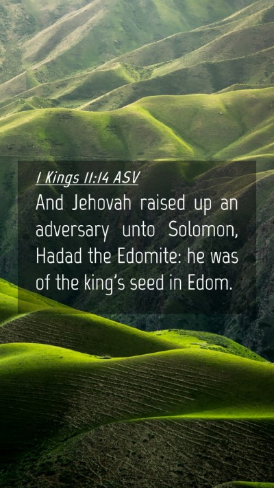 Picture 04 - 1 Kings 11:14 ASV Mobile Phone Wallpaper - And Jehovah raised up an adversary unto Solomon, - Mobile Bible Verse Wallpaper