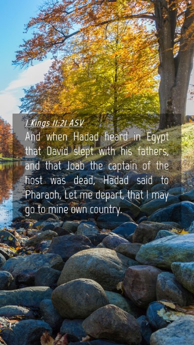 Picture 04 - 1 Kings 11:21 ASV Mobile Phone Wallpaper - And when Hadad heard in Egypt that David slept - Mobile Bible Verse Wallpaper