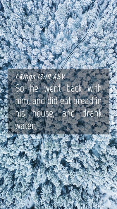 Picture 04 - 1 Kings 13:19 ASV Mobile Phone Wallpaper - So he went back with him, and did eat bread in - Mobile Bible Verse Wallpaper