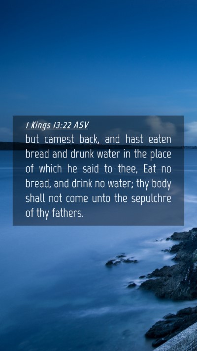 Picture 04 - 1 Kings 13:22 ASV Mobile Phone Wallpaper - but camest back, and hast eaten bread and drunk - Mobile Bible Verse Wallpaper