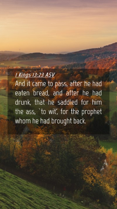 Picture 04 - 1 Kings 13:23 ASV Mobile Phone Wallpaper - And it came to pass, after he had eaten bread, - Mobile Bible Verse Wallpaper