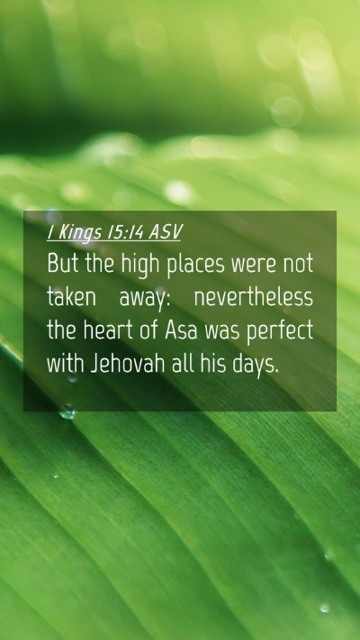 Picture 04 - 1 Kings 15:14 ASV Mobile Phone Wallpaper - But the high places were not taken away: - Mobile Bible Verse Wallpaper