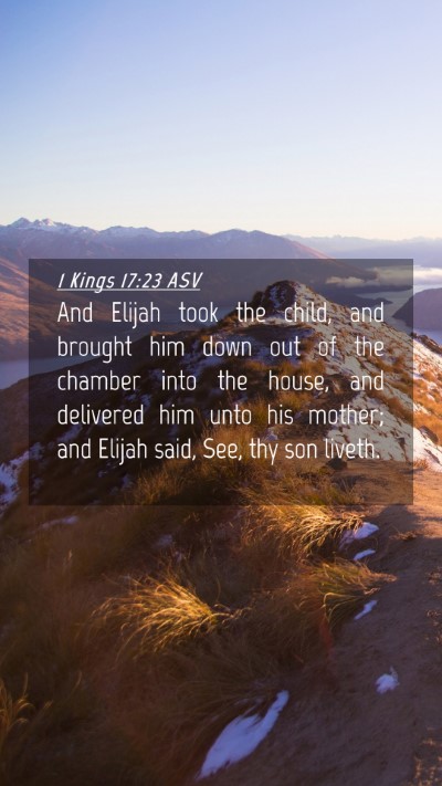 Picture 04 - 1 Kings 17:23 ASV Mobile Phone Wallpaper - And Elijah took the child, and brought him down - Mobile Bible Verse Wallpaper