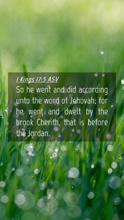 Picture 04 - 1 Kings 17:5 ASV Mobile Phone Wallpaper - So he went and did according unto the word of - Mobile Bible Verse Wallpaper