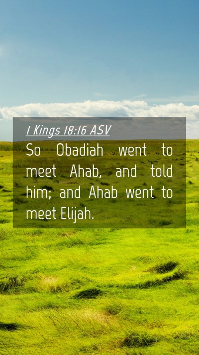 Picture 04 - 1 Kings 18:16 ASV Mobile Phone Wallpaper - So Obadiah went to meet Ahab, and told him; and - Mobile Bible Verse Wallpaper