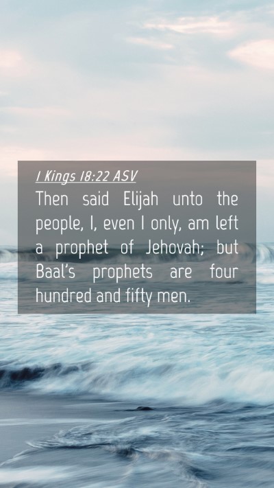 Picture 04 - 1 Kings 18:22 ASV Mobile Phone Wallpaper - Then said Elijah unto the people, I, even I only, - Mobile Bible Verse Wallpaper