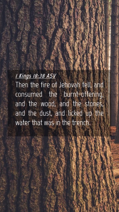 Picture 04 - 1 Kings 18:38 ASV Mobile Phone Wallpaper - Then the fire of Jehovah fell, and consumed the - Mobile Bible Verse Wallpaper