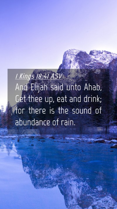 Picture 04 - 1 Kings 18:41 ASV Mobile Phone Wallpaper - And Elijah said unto Ahab, Get thee up, eat and - Mobile Bible Verse Wallpaper