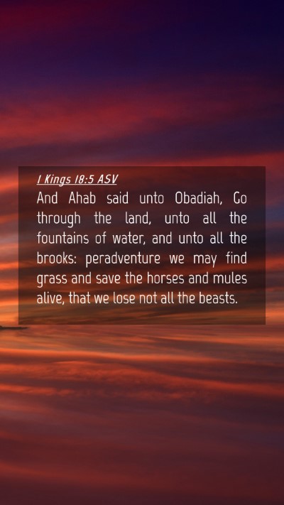 Picture 04 - 1 Kings 18:5 ASV Mobile Phone Wallpaper - And Ahab said unto Obadiah, Go through the land, - Mobile Bible Verse Wallpaper