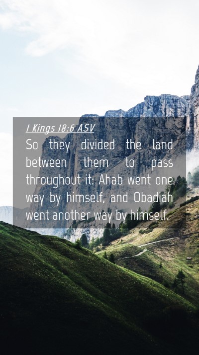 Picture 04 - 1 Kings 18:6 ASV Mobile Phone Wallpaper - So they divided the land between them to pass - Mobile Bible Verse Wallpaper