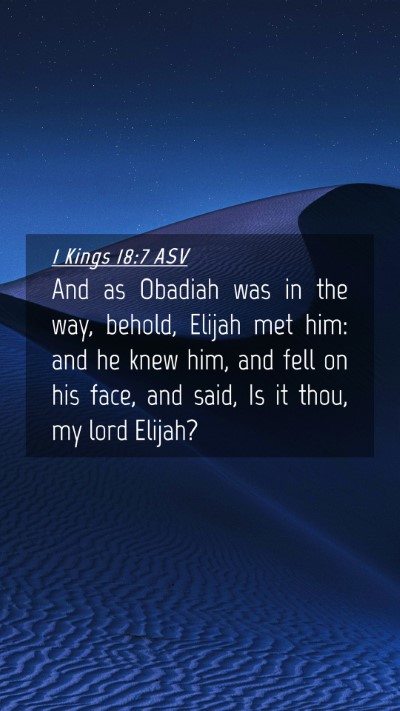 Picture 04 - 1 Kings 18:7 ASV Mobile Phone Wallpaper - And as Obadiah was in the way, behold, Elijah met - Mobile Bible Verse Wallpaper