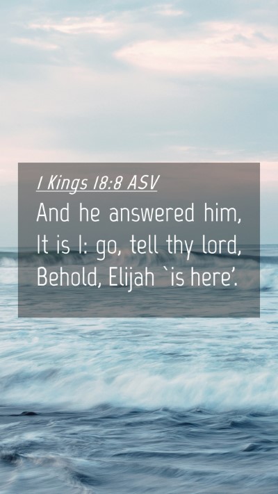 Picture 04 - 1 Kings 18:8 ASV Mobile Phone Wallpaper - And he answered him, It is I: go, tell thy lord, - Mobile Bible Verse Wallpaper