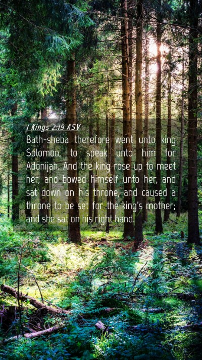 Picture 04 - 1 Kings 2:19 ASV Mobile Phone Wallpaper - Bath-sheba therefore went unto king Solomon, to - Mobile Bible Verse Wallpaper