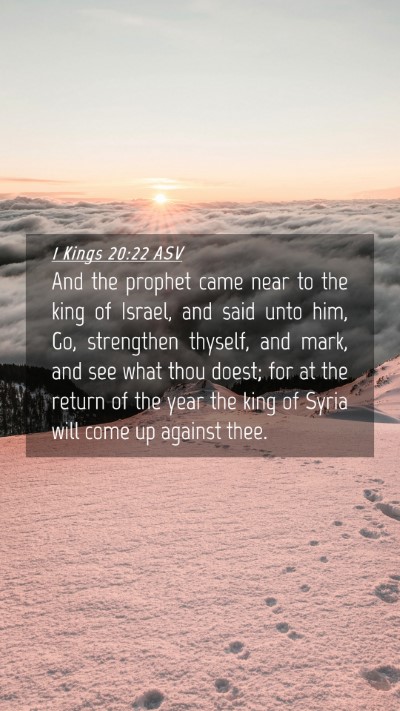 Picture 04 - 1 Kings 20:22 ASV Mobile Phone Wallpaper - And the prophet came near to the king of Israel, - Mobile Bible Verse Wallpaper