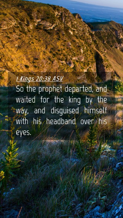 Picture 04 - 1 Kings 20:38 ASV Mobile Phone Wallpaper - So the prophet departed, and waited for the king - Mobile Bible Verse Wallpaper