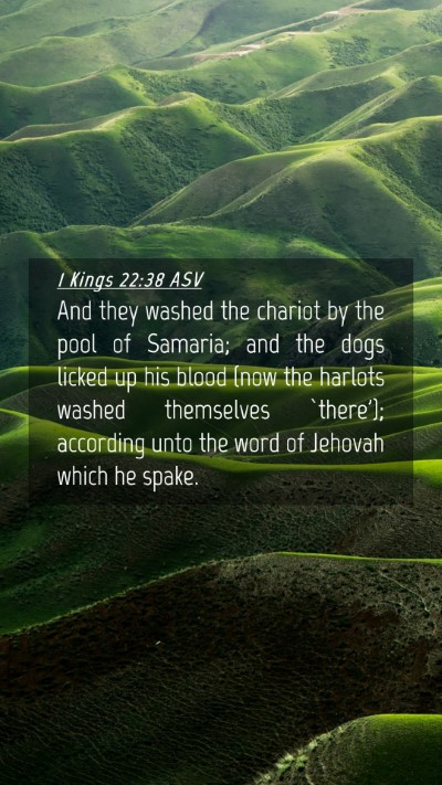 Picture 04 - 1 Kings 22:38 ASV Mobile Phone Wallpaper - And they washed the chariot by the pool of - Mobile Bible Verse Wallpaper