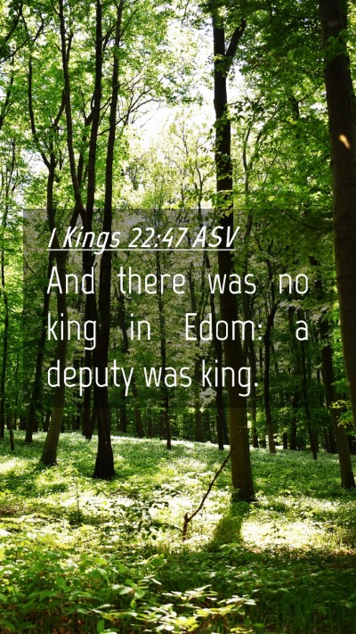Picture 04 - 1 Kings 22:47 ASV Mobile Phone Wallpaper - And there was no king in Edom: a deputy was - Mobile Bible Verse Wallpaper