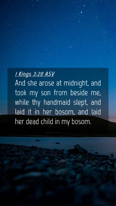 Picture 04 - 1 Kings 3:20 ASV Mobile Phone Wallpaper - And she arose at midnight, and took my son from - Mobile Bible Verse Wallpaper