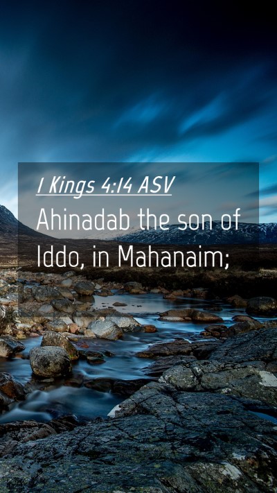 Picture 04 - 1 Kings 4:14 ASV Mobile Phone Wallpaper - Ahinadab the son of Iddo, in - Mobile Bible Verse Wallpaper