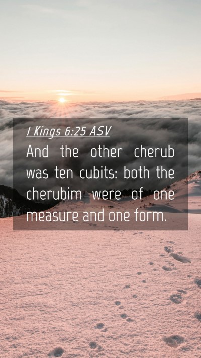 Picture 04 - 1 Kings 6:25 ASV Mobile Phone Wallpaper - And the other cherub was ten cubits: both the - Mobile Bible Verse Wallpaper