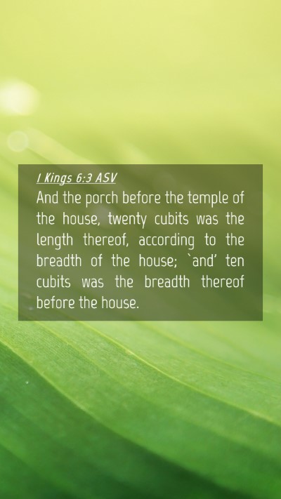 Picture 04 - 1 Kings 6:3 ASV Mobile Phone Wallpaper - And the porch before the temple of the house, - Mobile Bible Verse Wallpaper