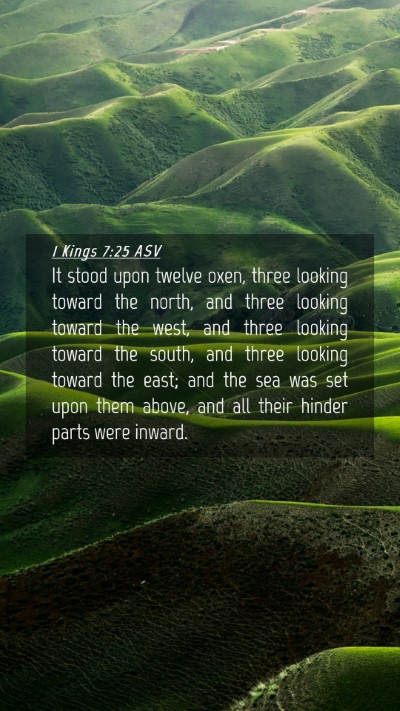 Picture 04 - 1 Kings 7:25 ASV Mobile Phone Wallpaper - It stood upon twelve oxen, three looking toward - Mobile Bible Verse Wallpaper