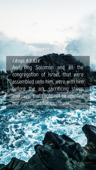 Picture 04 - 1 Kings 8:5 ASV Mobile Phone Wallpaper - And king Solomon and all the congregation of - Mobile Bible Verse Wallpaper