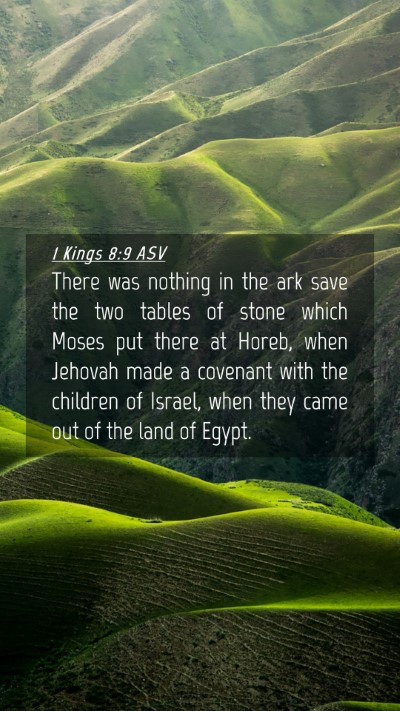 Picture 04 - 1 Kings 8:9 ASV Mobile Phone Wallpaper - There was nothing in the ark save the two tables - Mobile Bible Verse Wallpaper