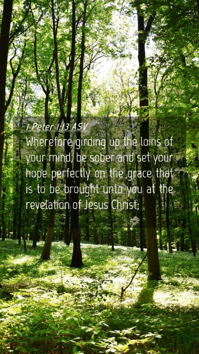 Picture 04 - 1 Peter 1:13 ASV Mobile Phone Wallpaper - Wherefore girding up the loins of your mind, be - Mobile Bible Verse Wallpaper