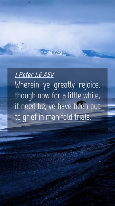 Picture 04 - 1 Peter 1:6 ASV Mobile Phone Wallpaper - Wherein ye greatly rejoice, though now for a - Mobile Bible Verse Wallpaper