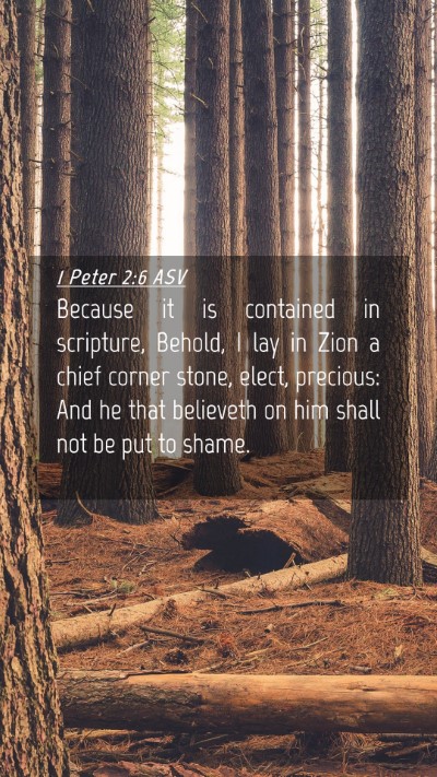 Picture 04 - 1 Peter 2:6 ASV Mobile Phone Wallpaper - Because it is contained in scripture, Behold, I - Mobile Bible Verse Wallpaper