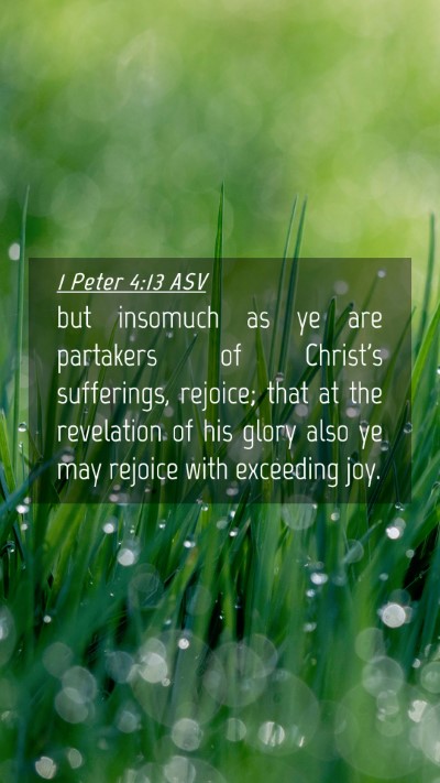 Picture 04 - 1 Peter 4:13 ASV Mobile Phone Wallpaper - but insomuch as ye are partakers of Christ's - Mobile Bible Verse Wallpaper