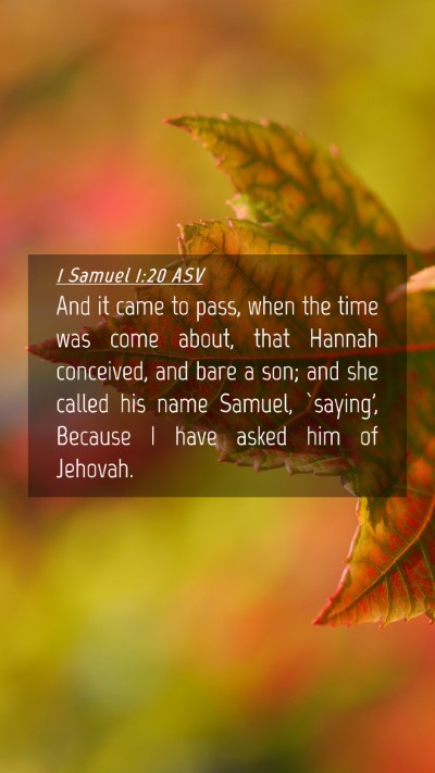 Picture 04 - 1 Samuel 1:20 ASV Mobile Phone Wallpaper - And it came to pass, when the time was come - Mobile Bible Verse Wallpaper
