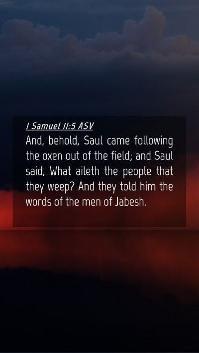 Picture 04 - 1 Samuel 11:5 ASV Mobile Phone Wallpaper - And, behold, Saul came following the oxen out of - Mobile Bible Verse Wallpaper