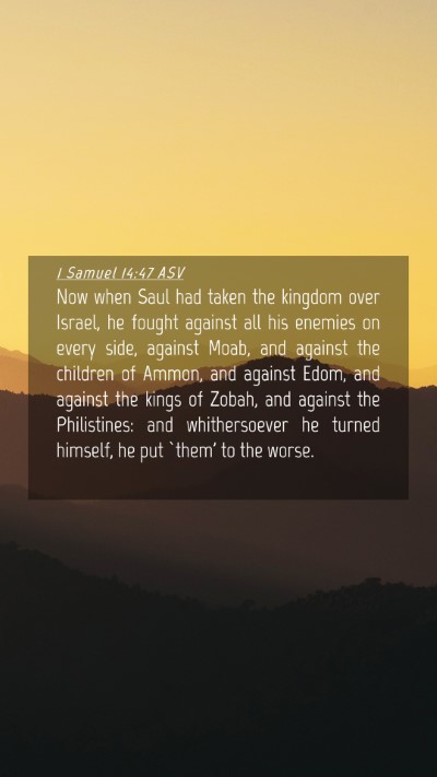 Picture 04 - 1 Samuel 14:47 ASV Mobile Phone Wallpaper - Now when Saul had taken the kingdom over Israel, - Mobile Bible Verse Wallpaper
