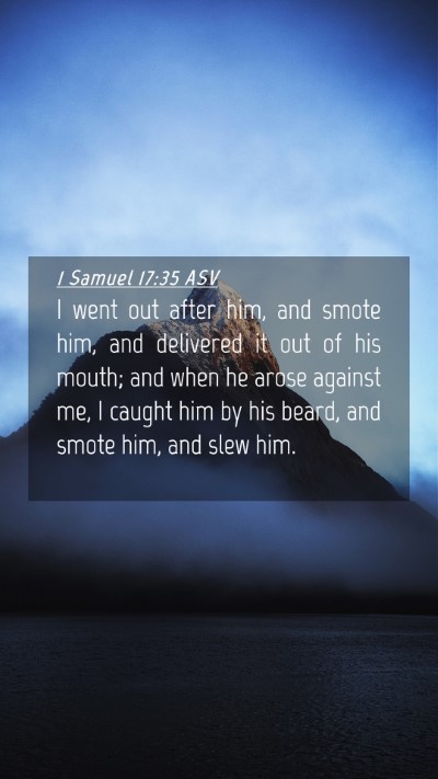 Picture 04 - 1 Samuel 17:35 ASV Mobile Phone Wallpaper - I went out after him, and smote him, and - Mobile Bible Verse Wallpaper