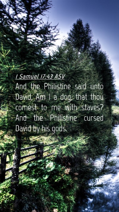 Picture 04 - 1 Samuel 17:43 ASV Mobile Phone Wallpaper - And the Philistine said unto David, Am I a dog, - Mobile Bible Verse Wallpaper