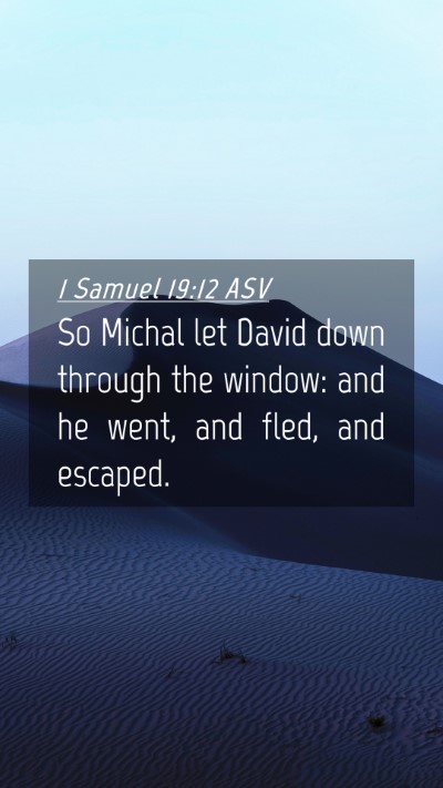 Picture 04 - 1 Samuel 19:12 ASV Mobile Phone Wallpaper - So Michal let David down through the window: and - Mobile Bible Verse Wallpaper